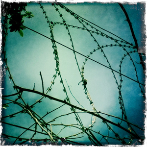 Hip 327400344.244653