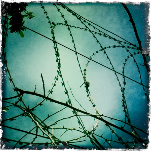 Hip 327400344.244653