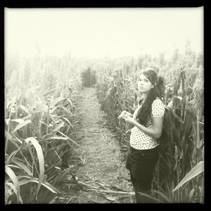 Hip 340419715.683961