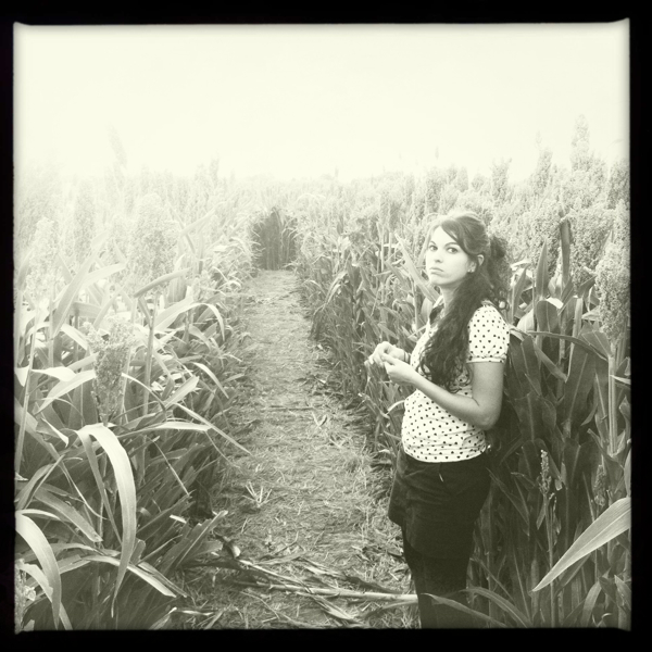 Hip 340419715.683961