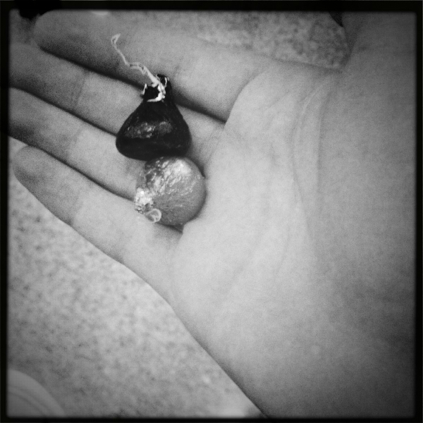 Hip 341685784.660958