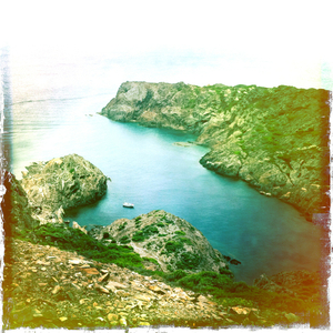 Hip 338565837.225438