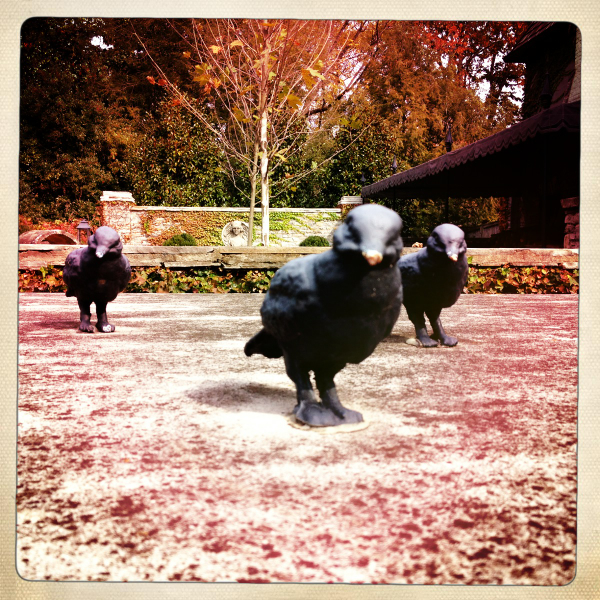 Hip 341689505.489328