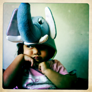 Hip 341687828.367302