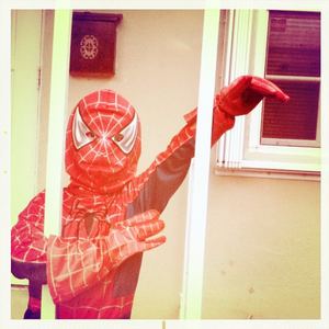 Hip 341683912.937965