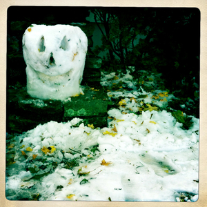 Hip 341692451.417809