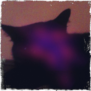 Hip 341694239.755158