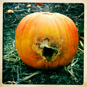 Hip 341692056.260787