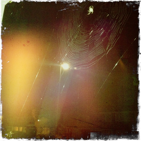 Hip 341694269.667808