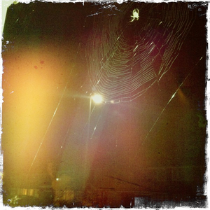 Hip 341694269.667808