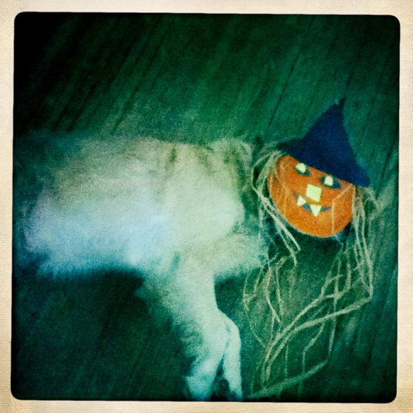 Hip 341652342.560948