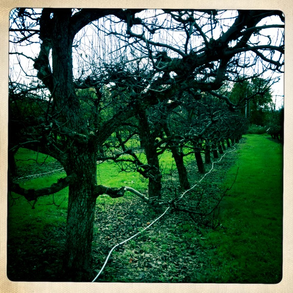 Hip 340996395.636357