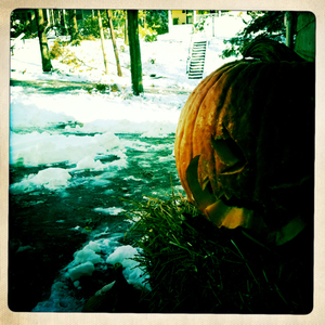 Hip 341678330.997263