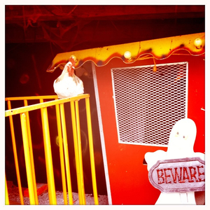 Hip 341698291.205476