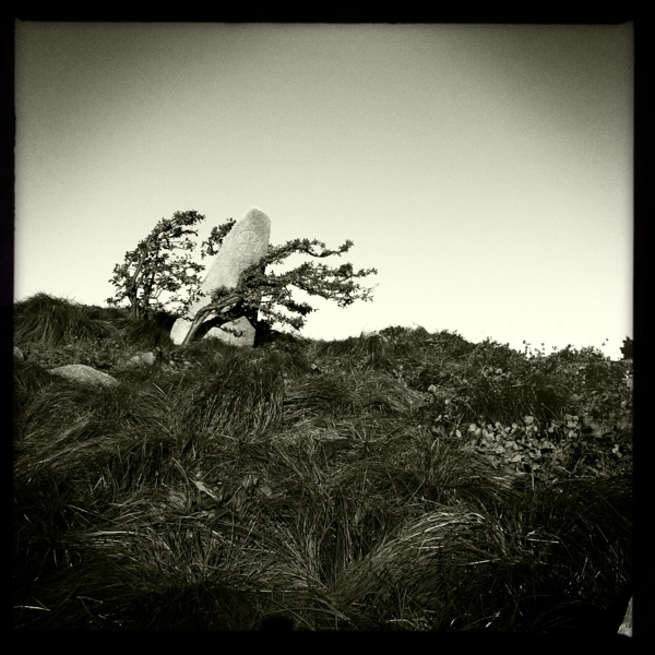 Hip 341671723.322276