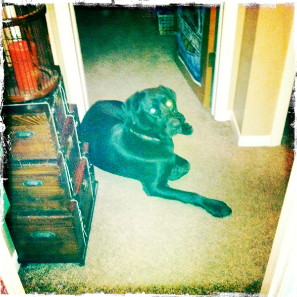 Hip 341702126.836318