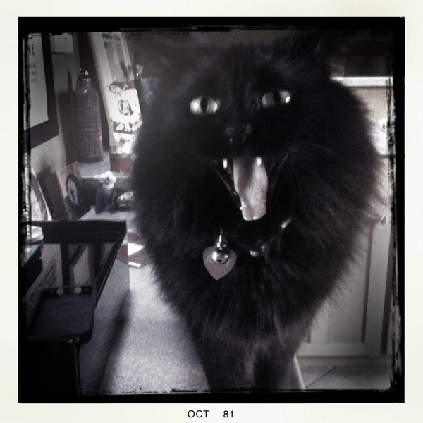 Hip 341702906.889817