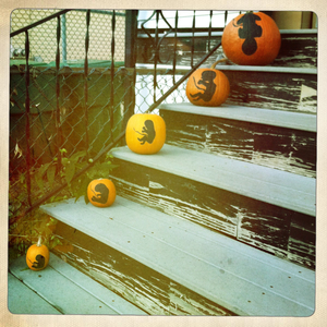 Hip 341700715.707000