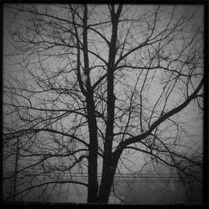 Hip 313269318.534660