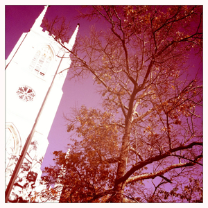 Hip 341697125.129414