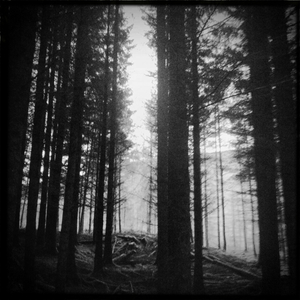 Hip 341684360.095322