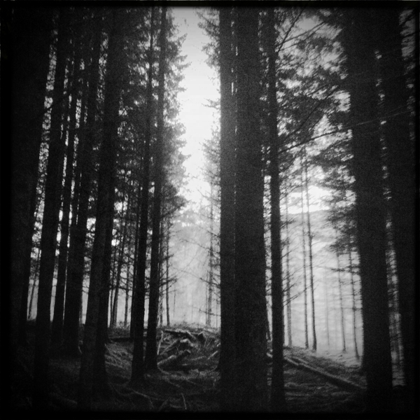 Hip 341684360.095322