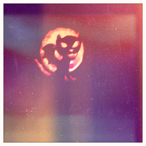 Hip 341705803.708698