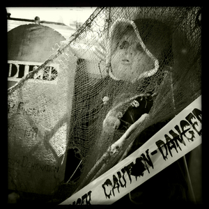 Hip 341676088.302854