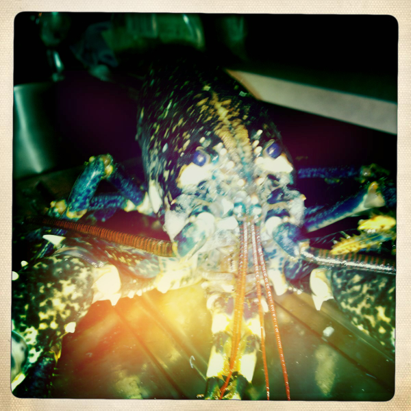 Hip 341692456.407417