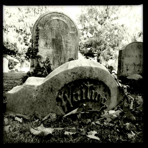 Hip 340638259.296778