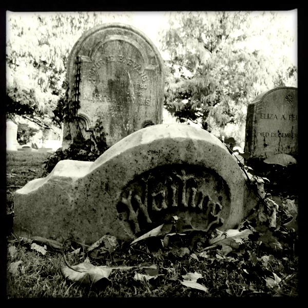 Hip 340638259.296778