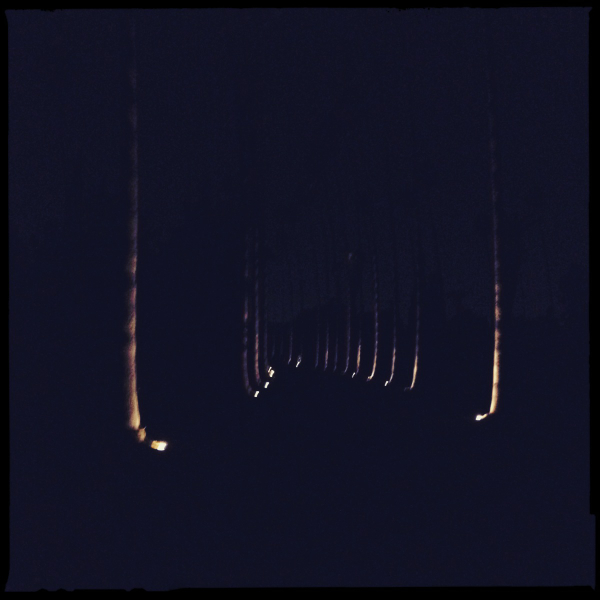 Hip 341563513.577764