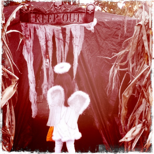 Hip 341701250.501342