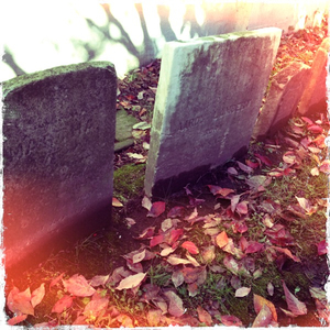 Hip 341689243.227307