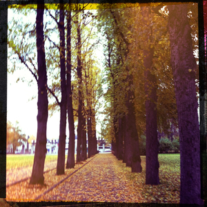 Hip 341232106.421990