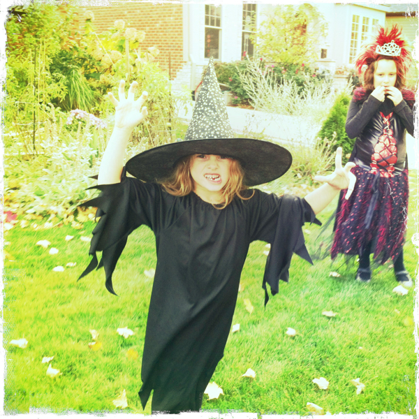 Hip 341694887.217591