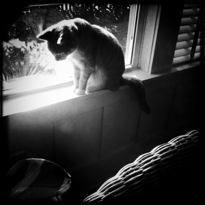 Hip 341264612.969521