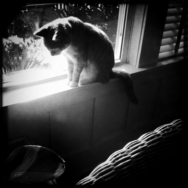 Hip 341264612.969521