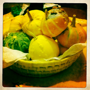 Hip 340277158.150474