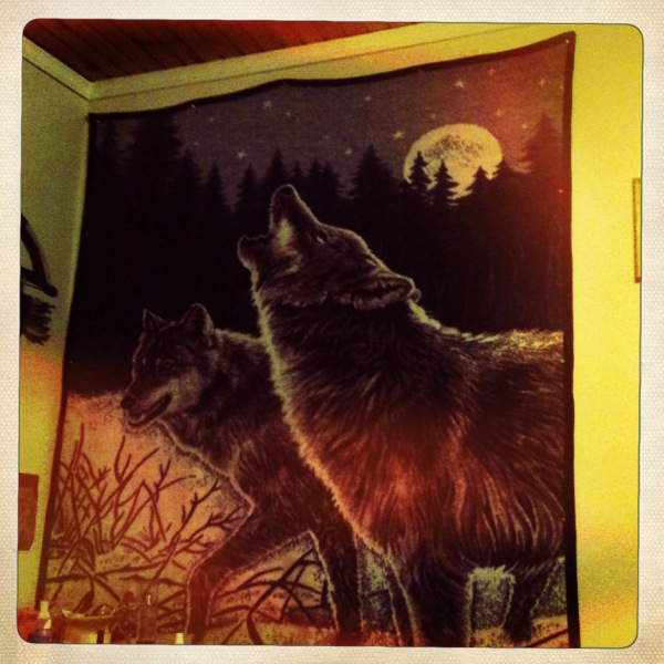 Hip 341530428.379422