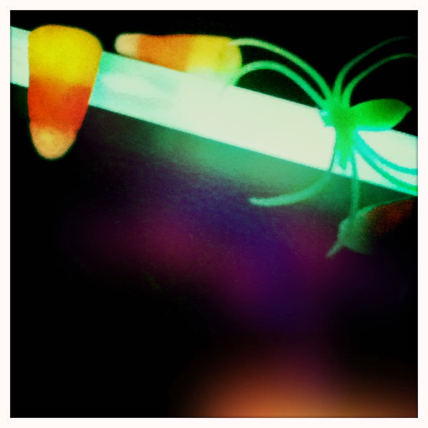 Hip 341713461.596357