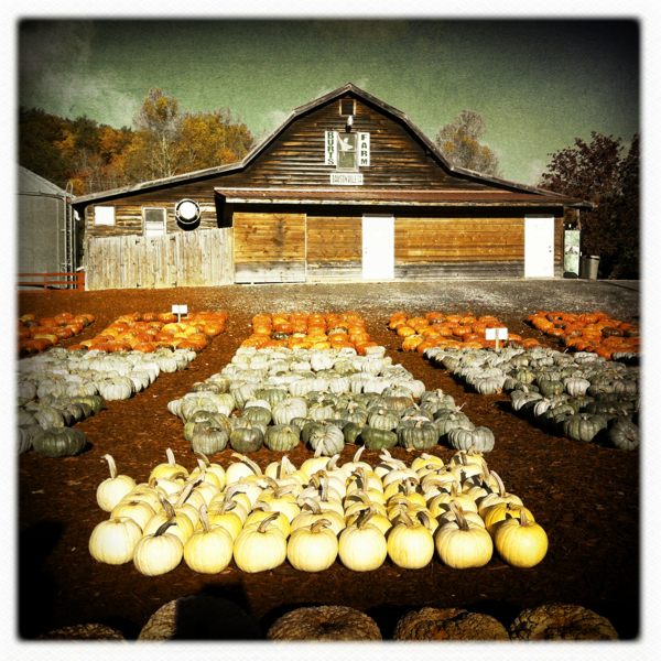 Hip 341588133.849792