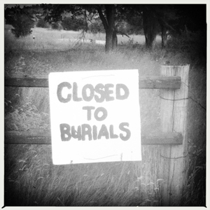 Hip 336001318.661433