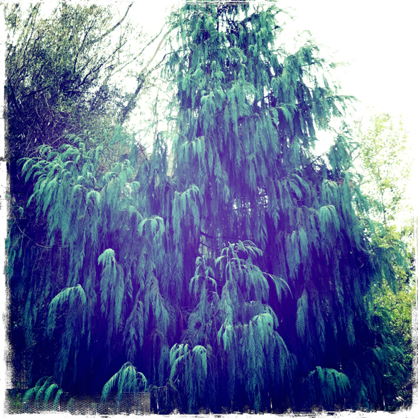 Hip 341101455.004427