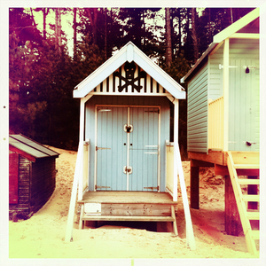 Hip 341411411.231682