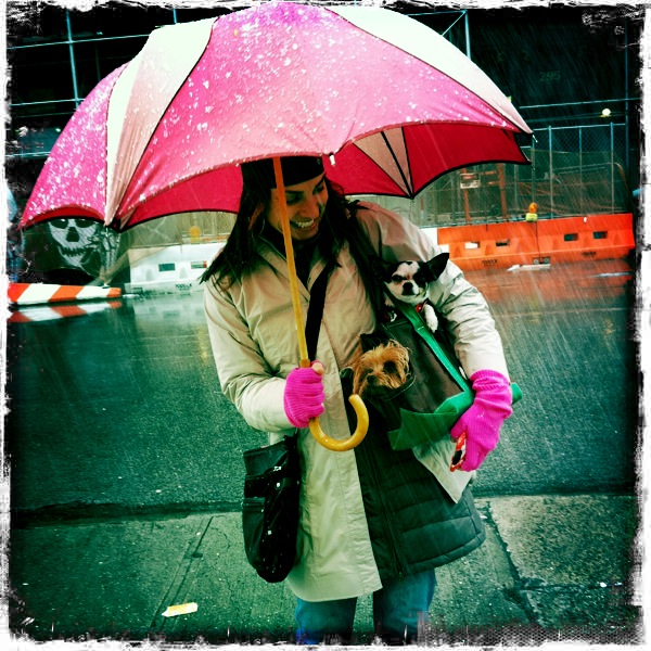 Hip 341605149.283552