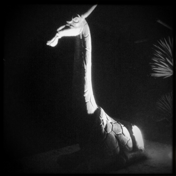 Hip 317101931.385020