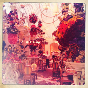 Hip 341713614.723564