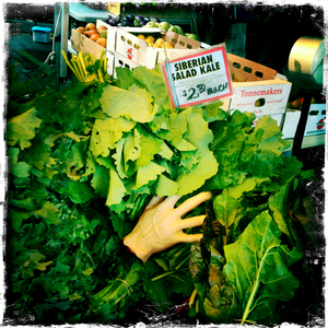 Hip 341687447.950080