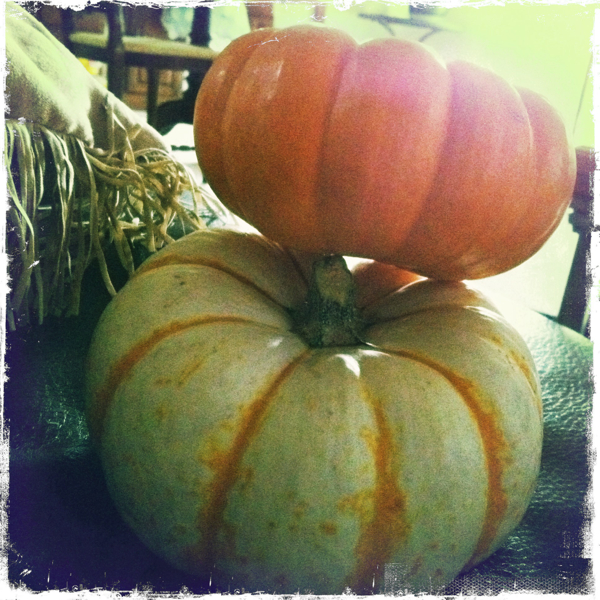 Hip 341169062.819840